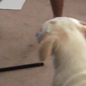 Meet your Posher, Makaela